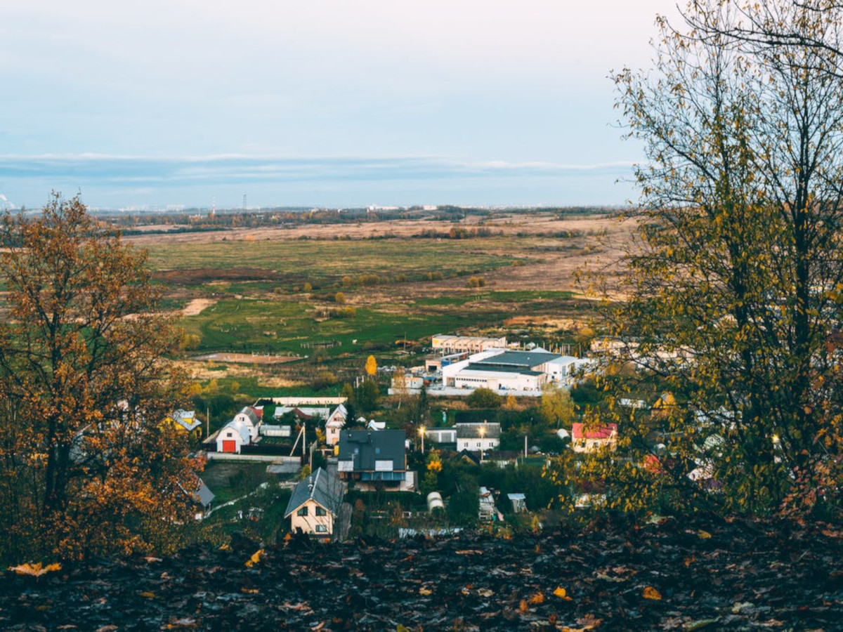 Mint Julip 101oz Face Super Turf